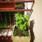 Ai Quattro Ulivi Apartamento *